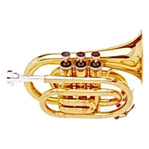 Fox TPP2000G Pocket Trompet