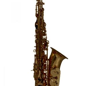 Roy Benson AS-202 Alto Saksafon