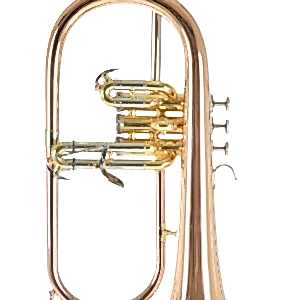 Roy Benson FH-302G Flugelhorn