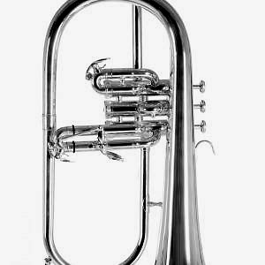 Roy Benson FH-302S Bb-Flugelhorn