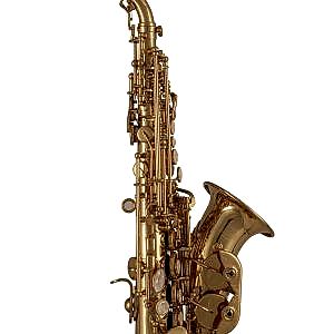 Roy Benson SG-302 Kıvrık Soprano Saksafon