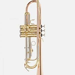 Roy Benson TR-202G  Bb Trompet