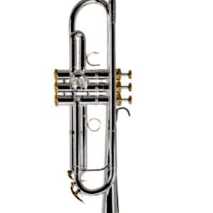 Roy Benson TR-CGS Charlie Green Signature Trompet