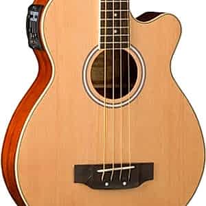 Washburn AB5K Elektro-Akustik Bas Gitar