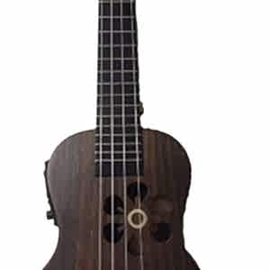 Elektro Soprano Maun Ukulele (Kılıflı)-Enjoy by Puka