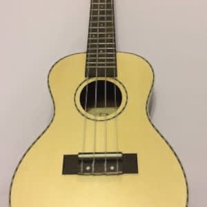 Puka Masif Koa Sedefli Concert Ukulele PK-10 + Kılıf Hediyeli