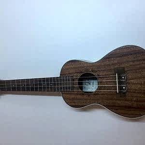 Puka Koa Concert Ukulele PK24 (Kılıflı)