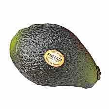 REMO SC-AVCD-01 Avokado Shaker