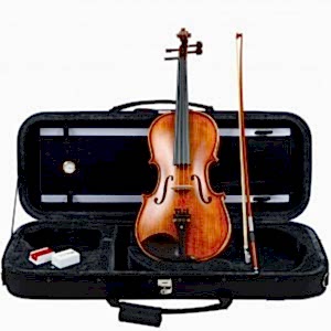 Carlovy VAA9 Viyola 15"