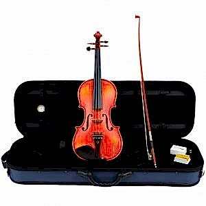 Carlovy VLA6 - 4/4 Keman