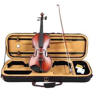 Carlovy VLA8 - 4/4 Keman