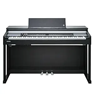 Kurzweil CUP P1 Gülağacı Dijital Piyano